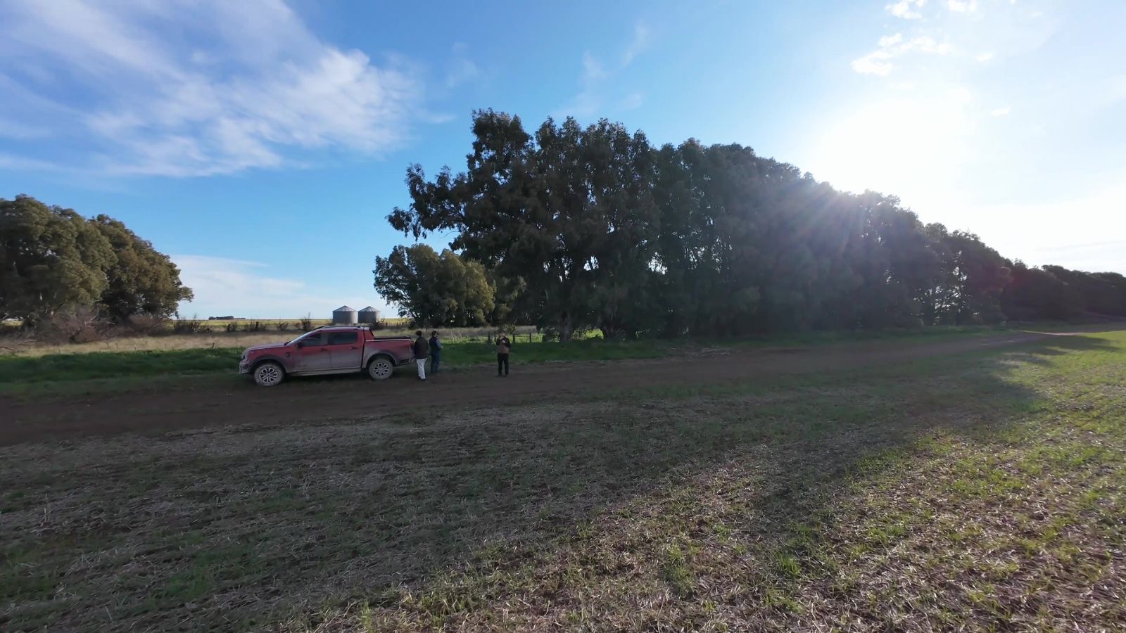 Campo  en Venta   San Romàn - Bahía Blanca Propiedades | SITIO OFICIAL l