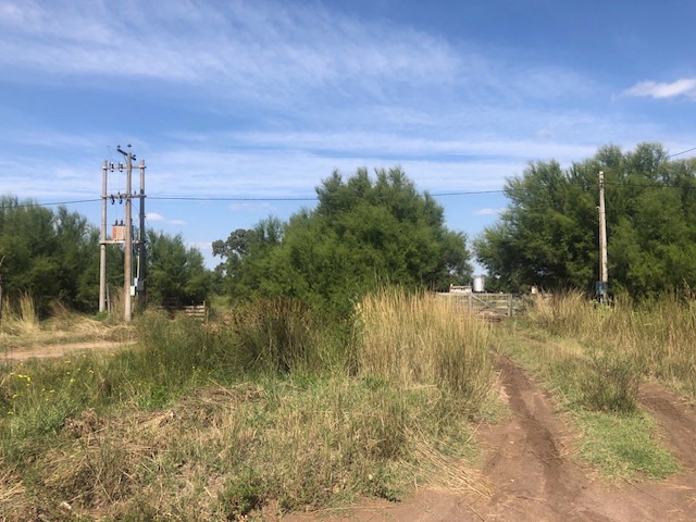 Campo  en Venta en Camino De Chacras,  General Cerri - Bahía Blanca Propiedades | SITIO OFICIAL l