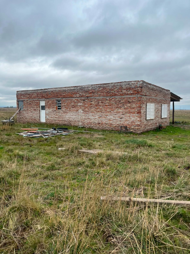 Campo  en Venta en Ruta 3 Klm 704,  Bahía Blanca - Bahía Blanca Propiedades | SITIO OFICIAL l