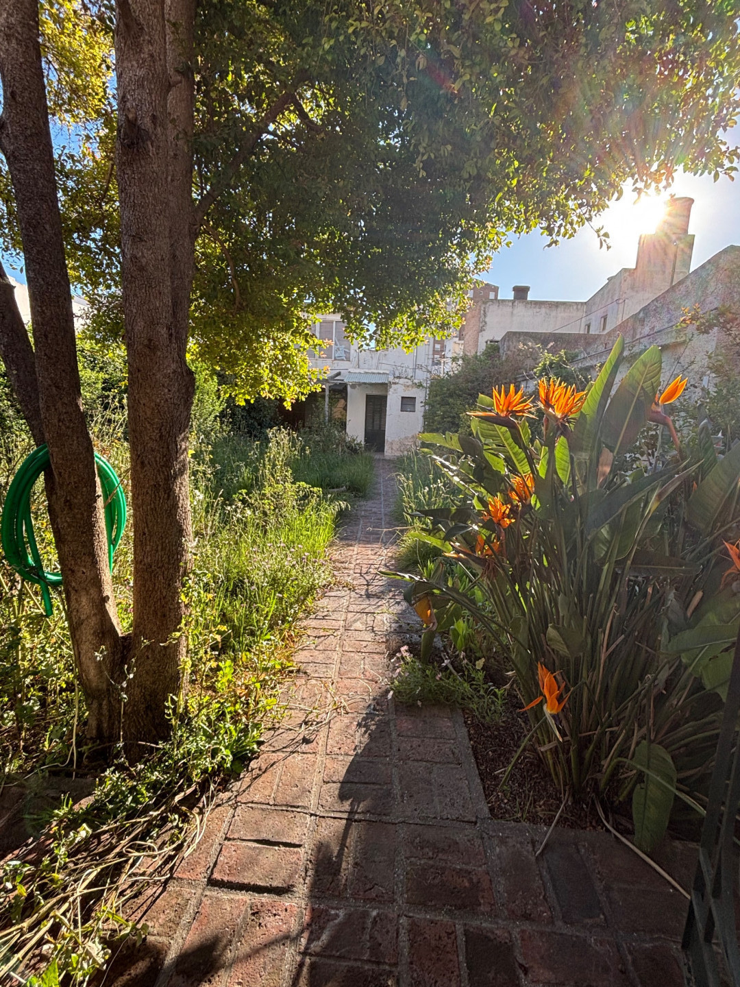 Casa en Venta en Nicaragua 828, Universitario, Bahía Blanca - Bahía Blanca Propiedades | SITIO OFICIAL l