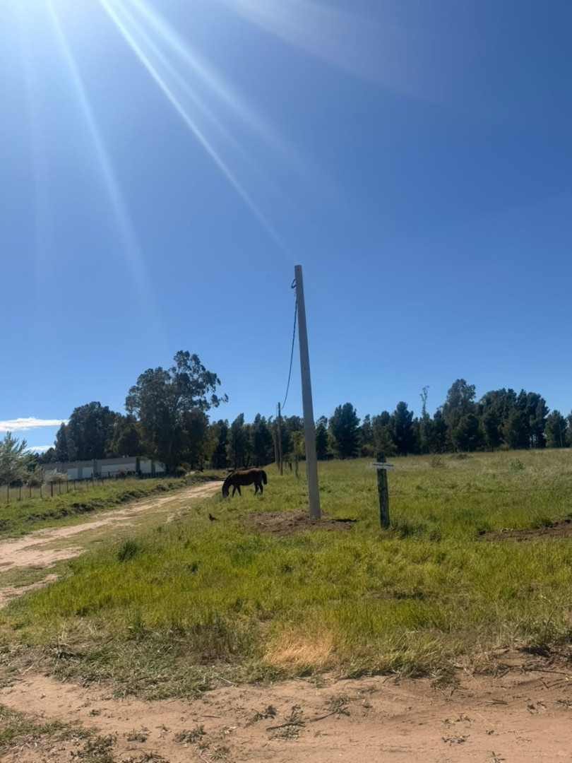 Terreno en Venta en Los Pinos Y Felipe Varela , San Carlos, Bahía Blanca - Bahía Blanca Propiedades | SITIO OFICIAL l