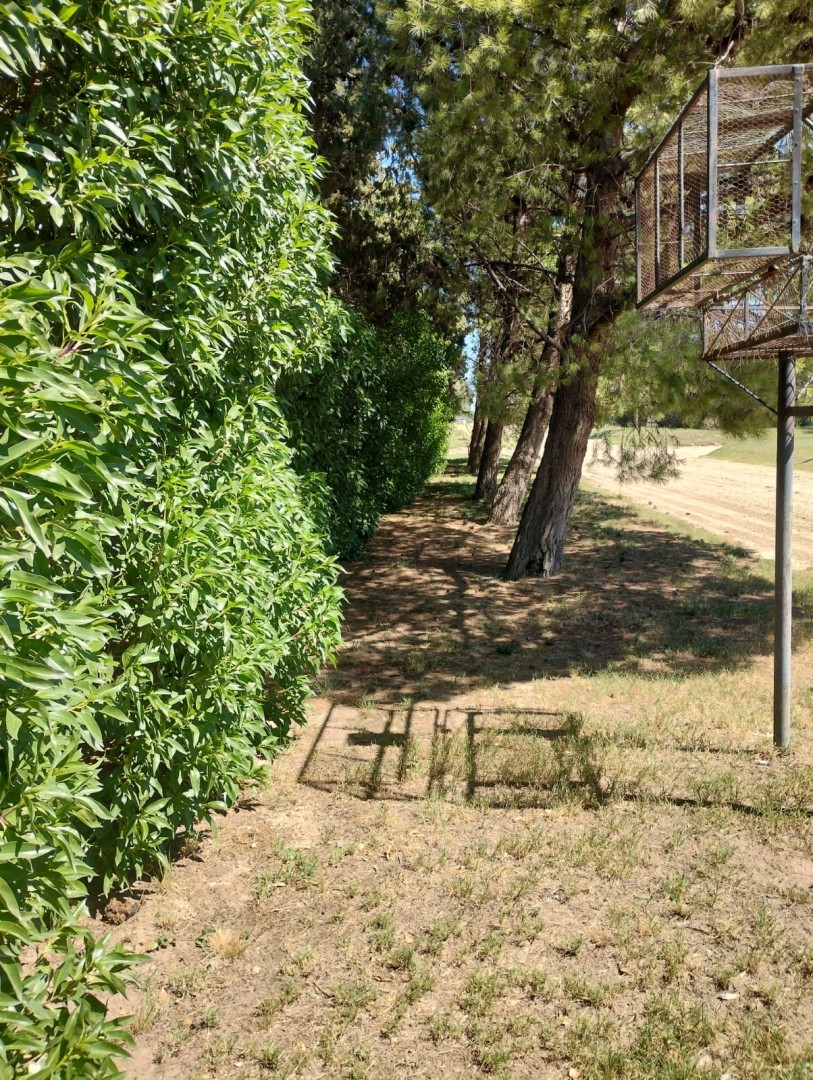 Casaquinta en Venta en Dorotea Macedo 3185, Paihuen, Bahía Blanca - Bahía Blanca Propiedades | SITIO OFICIAL l