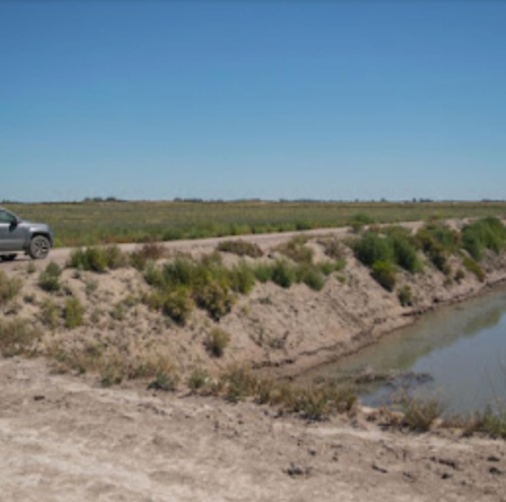 Campo  en Venta   Pedro Luro - Bahía Blanca Propiedades | SITIO OFICIAL l