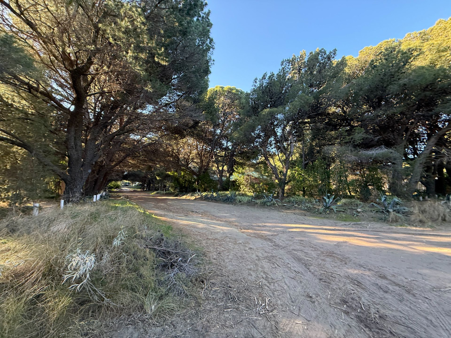 Terreno en Venta en Calle 8  Y Calle 1,  Pehuen Co - Bahía Blanca Propiedades | SITIO OFICIAL l