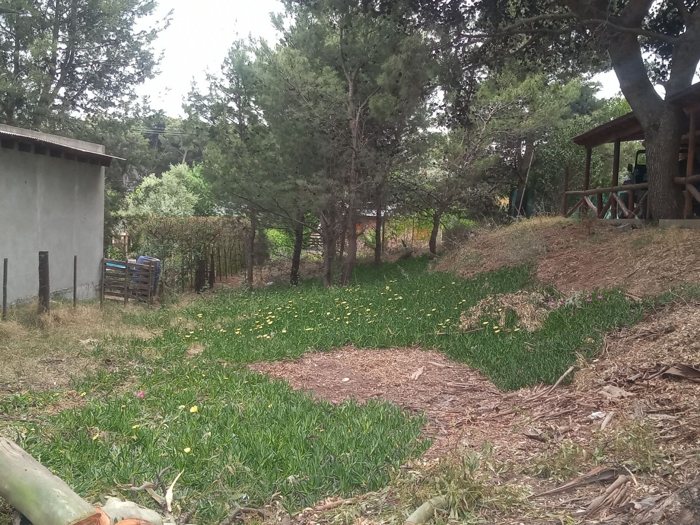 Terreno en Venta en Seclantas Y Oceano, El Sauce, Monte Hermoso - Bahía Blanca Propiedades | SITIO OFICIAL l