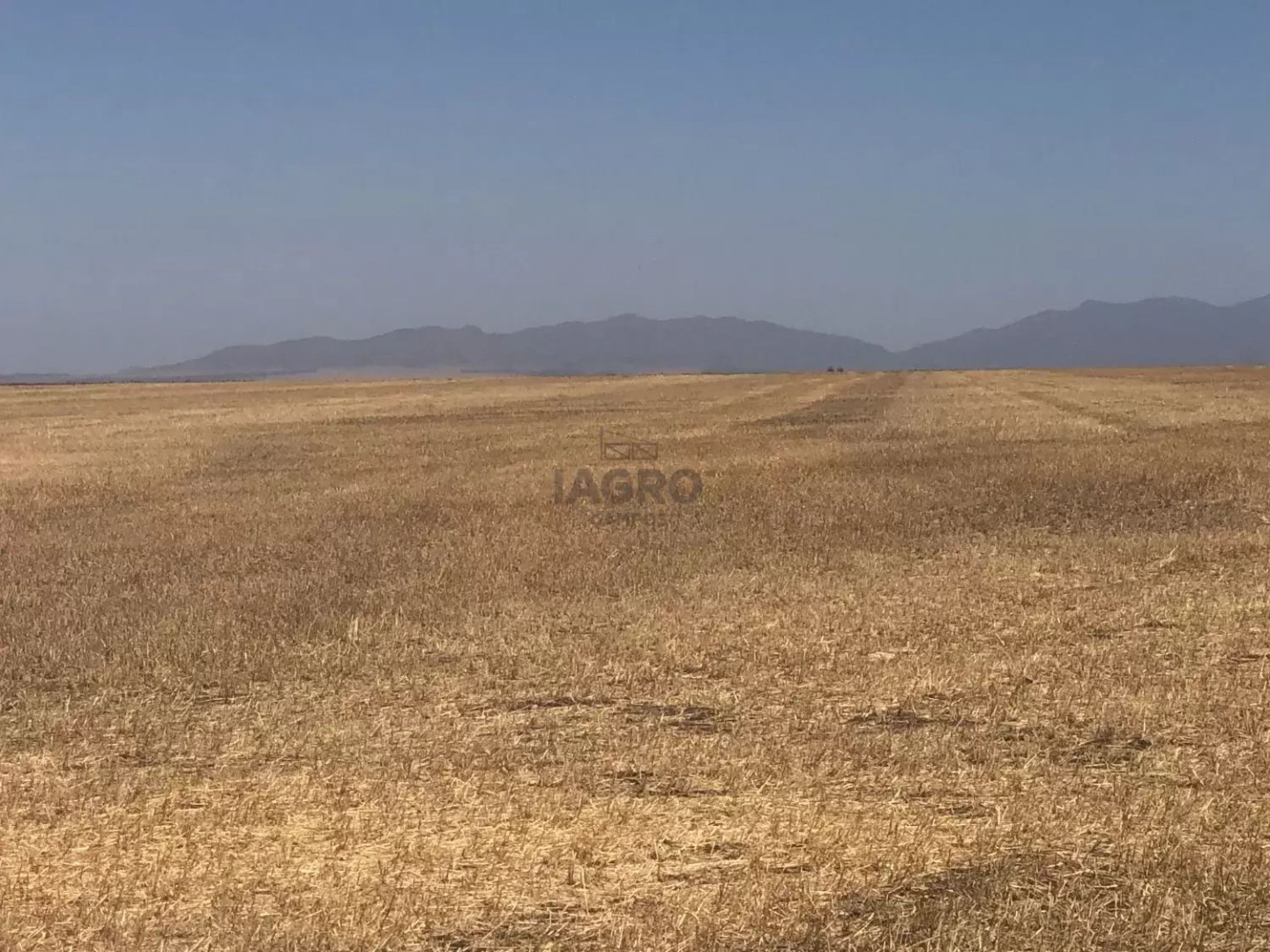Campo  en Venta en Coronel Pringles,  Coronel Pringles - Bahía Blanca Propiedades | SITIO OFICIAL l