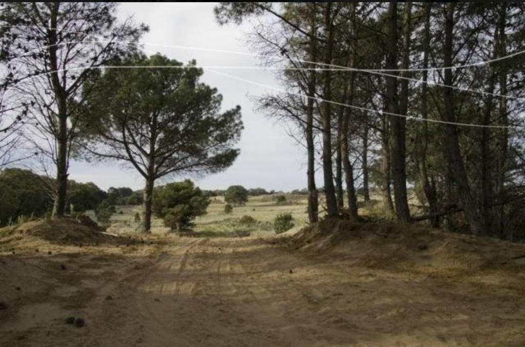 Terreno en Venta  Pueblo Darwin, Pehuen Co - Bahía Blanca Propiedades | SITIO OFICIAL l