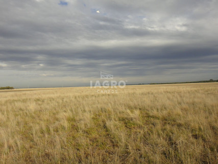 Campo  en Venta en Colonia La Merced,  Villarino