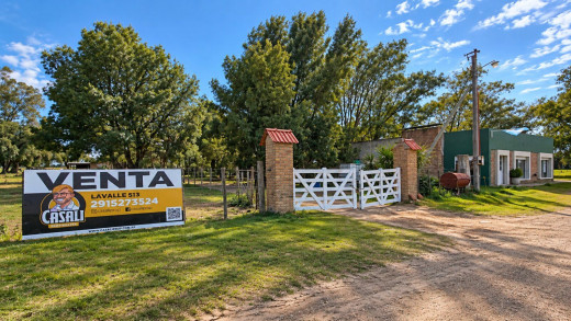 Campo  en Venta en  Ruta Nacional 22 Km. 735,  Medanos