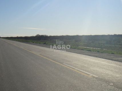Campo  en Venta en Caleu Caleu,  Caleu Caleu