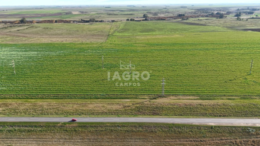 Campo  en Venta en Ruta 51,  Bahía Blanca