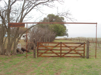 Campo  en Venta en Rn22,  Villarino