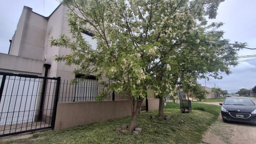 Duplex en Alquiler en Simon Bolivar 911, Los Alamos, Bahía Blanca